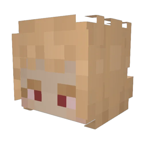 funtimemangel10 Minecraft avatar head, 3D render