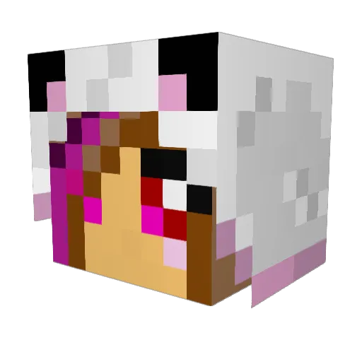 furball2021 Minecraft avatar head, 3D render