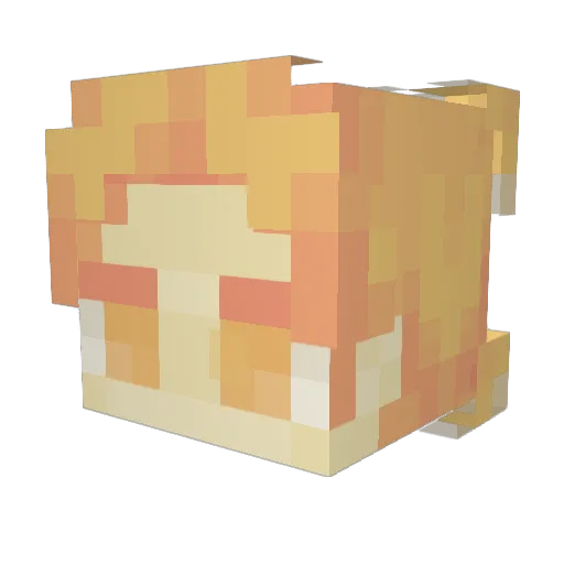 furgity Minecraft avatar head, 3D render
