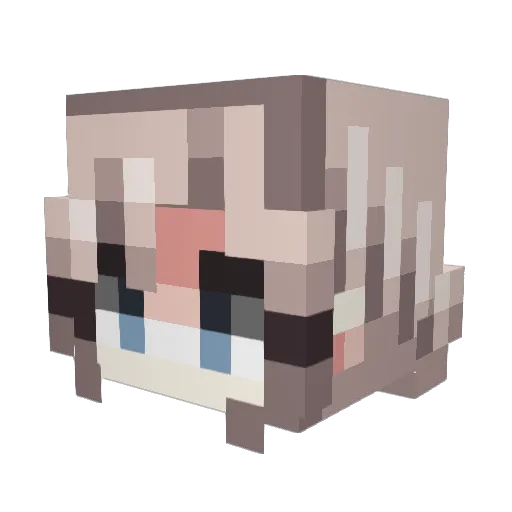 furiel13 Minecraft avatar head, 3D render