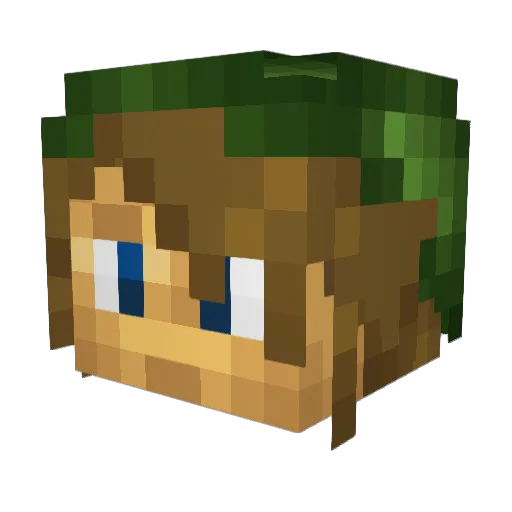 furkyboy12 Minecraft avatar head, 3D render