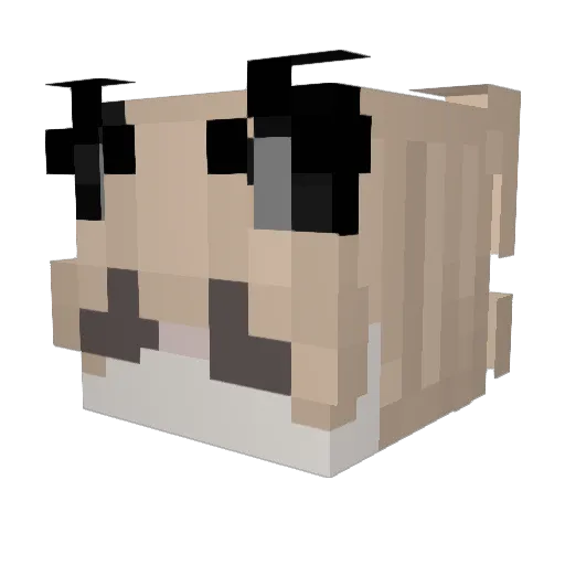 furry_777 Minecraft avatar head, 3D render