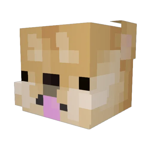 furryplayer Minecraft avatar head, 3D render