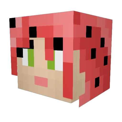 furrys3x Minecraft avatar head, 3D render