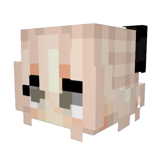 furumis Minecraft avatar head, 3D render