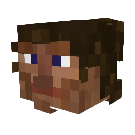fusafax Minecraft avatar head, 3D render