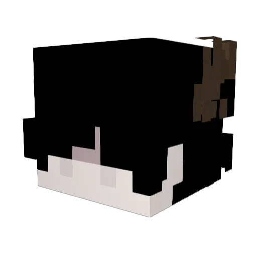fusgazi Minecraft avatar head, 3D render