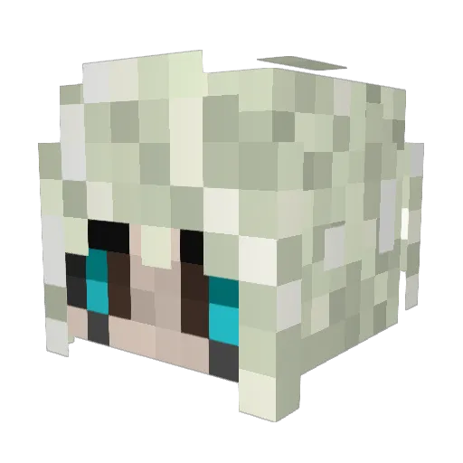 fusselfloh07 Minecraft avatar head, 3D render