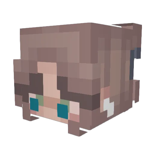 futbolera20 Minecraft avatar head, 3D render