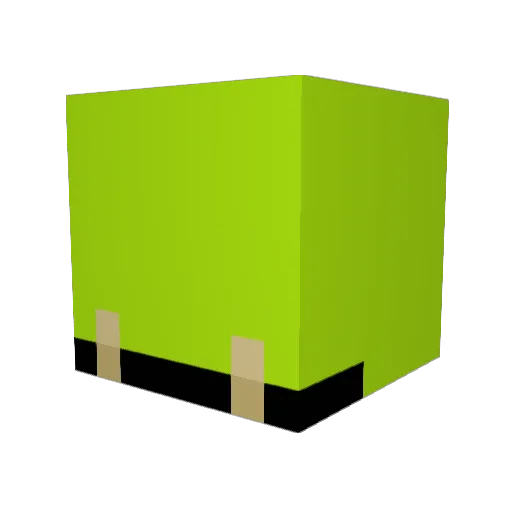 futhisninjaa Minecraft avatar head, 3D render