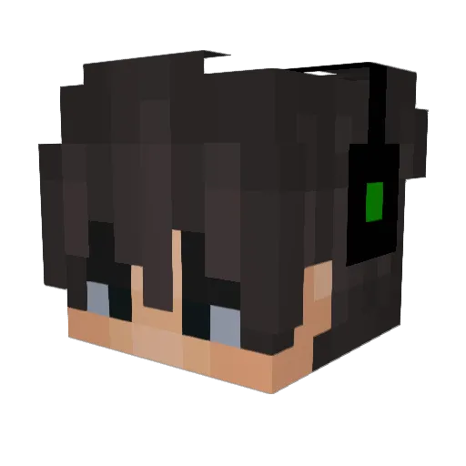 future_save Minecraft avatar head, 3D render