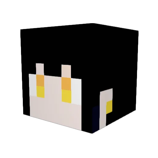 fuu1110 Minecraft avatar head, 3D render