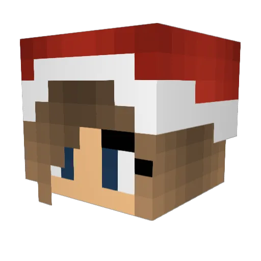 fuuzzee Minecraft avatar head, 3D render