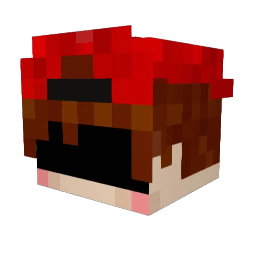 fuymix Minecraft avatar head, 3D render