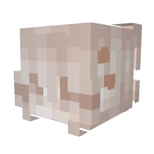 fuzzballxx Minecraft avatar head, 3D render