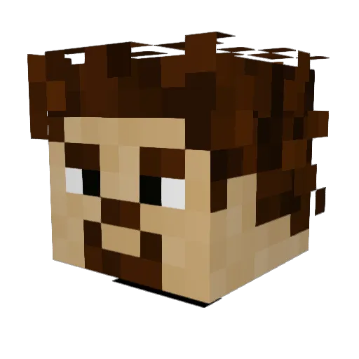 fuzznuts69 Minecraft avatar head, 3D render