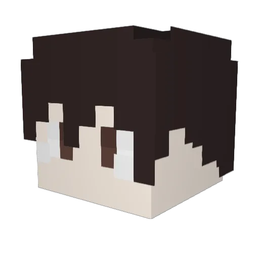 fuzzoodles90 Minecraft avatar head, 3D render