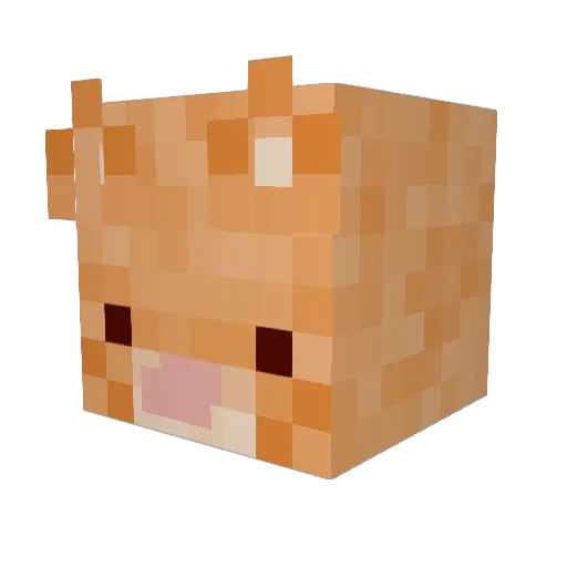 fuzzy265 Minecraft avatar head, 3D render
