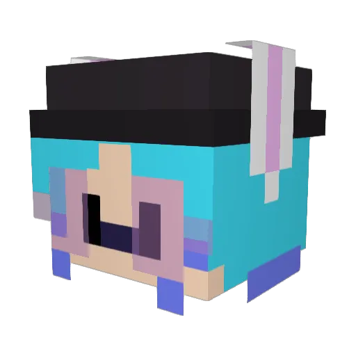 fuzzy_bit Minecraft avatar head, 3D render