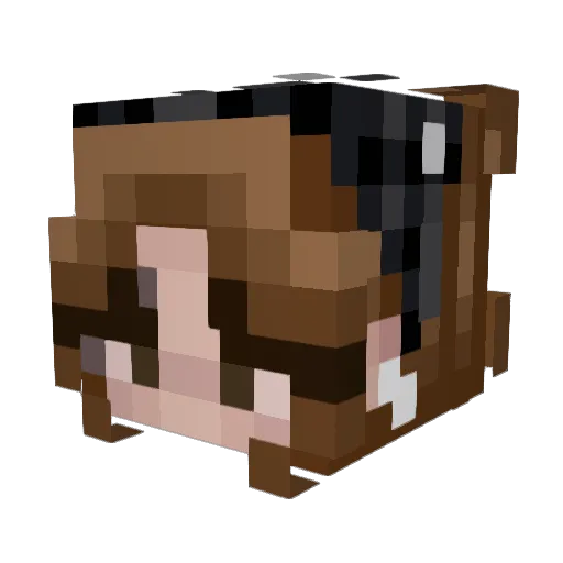 fuzzy_bonk Minecraft avatar head, 3D render