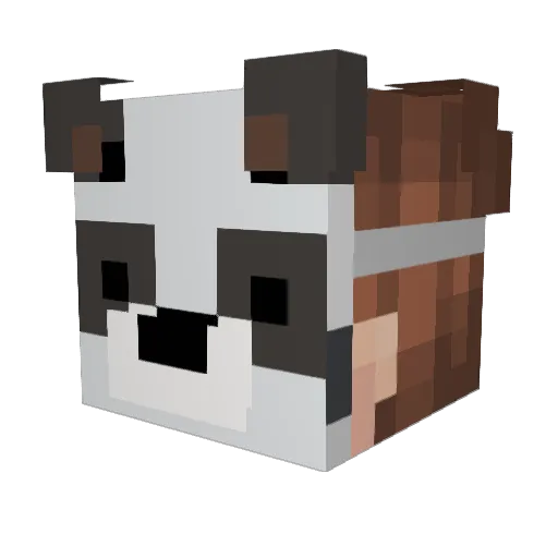 fuzzy_wuzzy53 Minecraft avatar head, 3D render