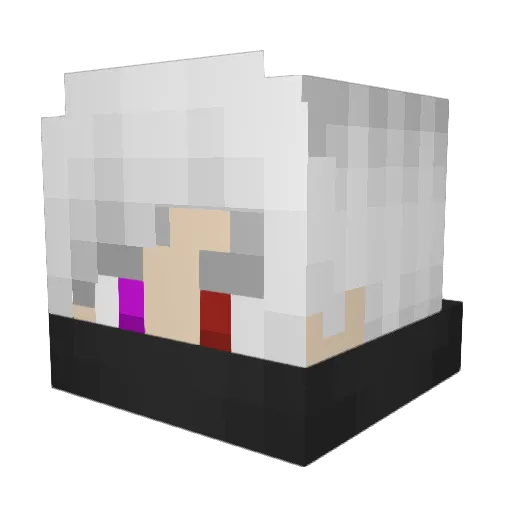 fuzzybear246 Minecraft avatar head, 3D render