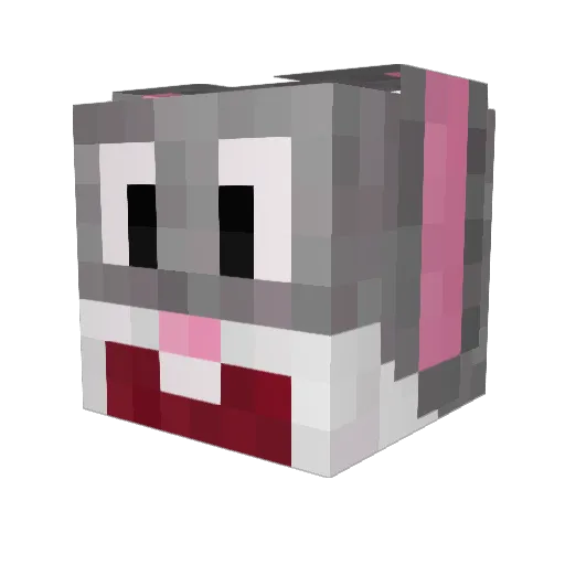 fuzzybunny737 Minecraft avatar head, 3D render