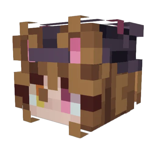 fuzzychloe Minecraft avatar head, 3D render