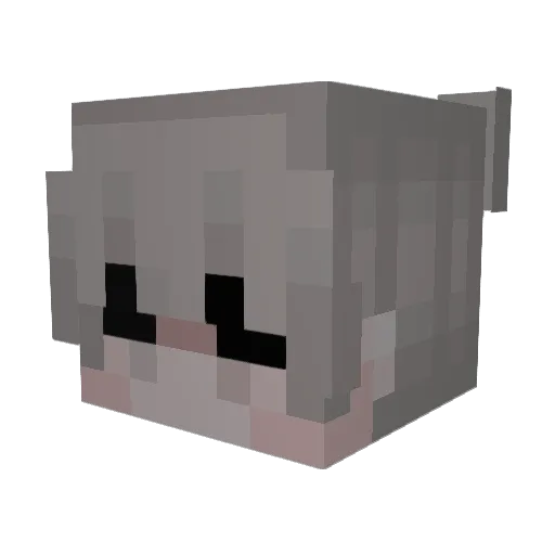 fuzzycool26 Minecraft avatar head, 3D render
