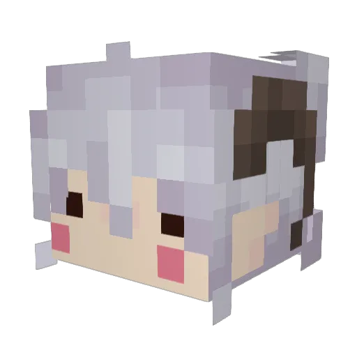 fuzzycrocs Minecraft avatar head, 3D render