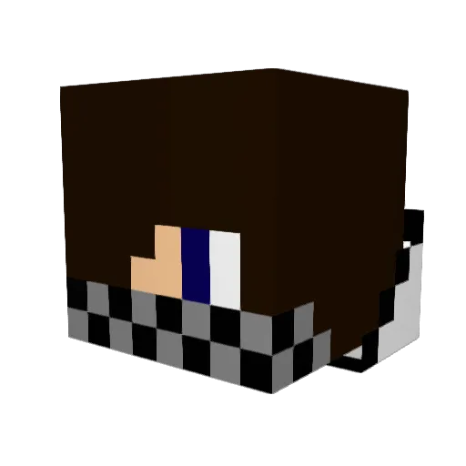 fuzzyfeet71 Minecraft avatar head, 3D render