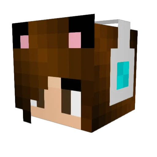 fuzzymajor Minecraft avatar head, 3D render