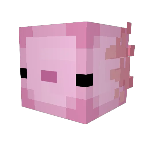 fuzzynuts0 Minecraft avatar head, 3D render
