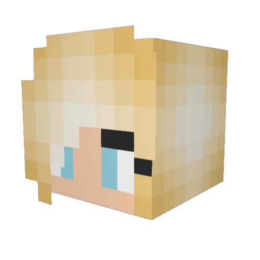 fuzzyphotog Minecraft avatar head, 3D render