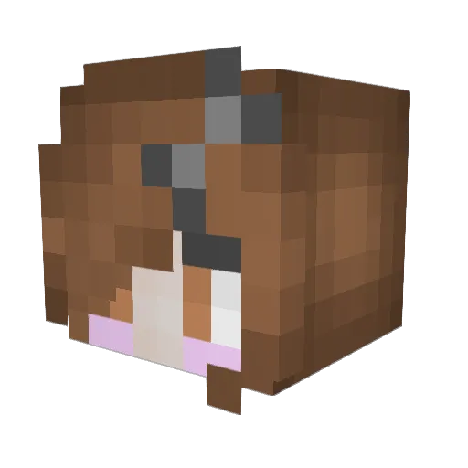 fuzzysockie Minecraft avatar head, 3D render