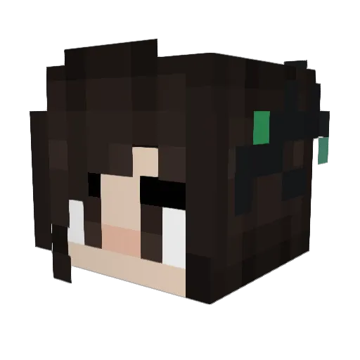 fuzzything4 Minecraft avatar head, 3D render