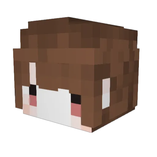 fvfv5656 Minecraft avatar head, 3D render