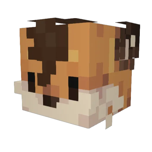 fvxy Minecraft avatar head, 3D render