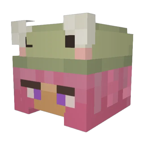 fw0ggie Minecraft avatar head, 3D render