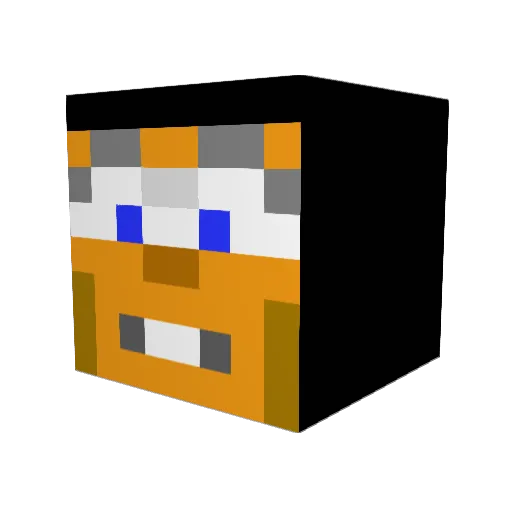 fw0rd Minecraft avatar head, 3D render