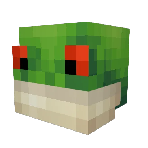fwFrog Minecraft avatar head, 3D render