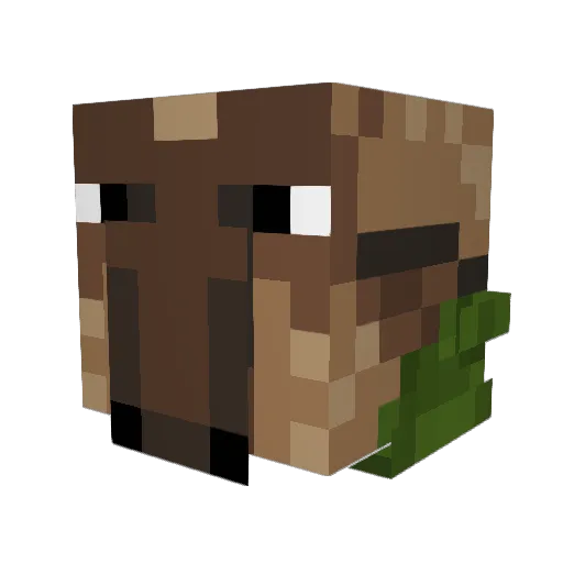 fw_peans Minecraft avatar head, 3D render