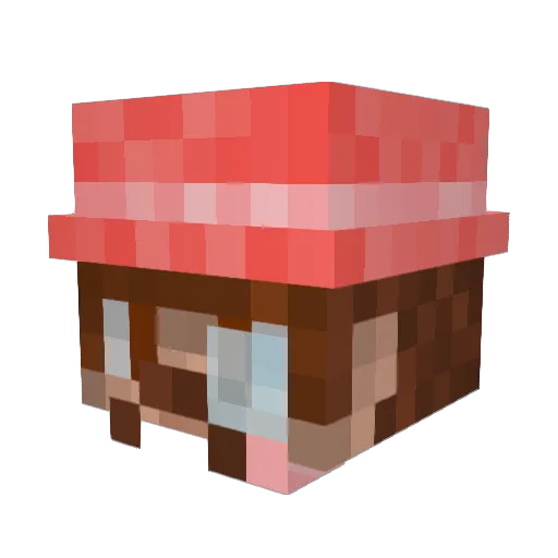 fw_salmon Minecraft avatar head, 3D render