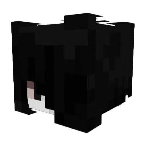 fwangrl Minecraft avatar head, 3D render
