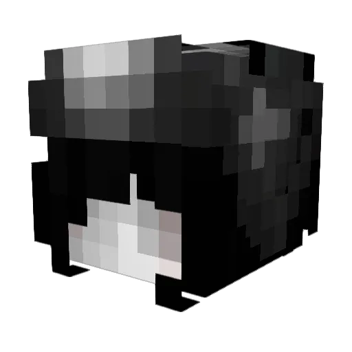 fwbi Minecraft avatar head, 3D render