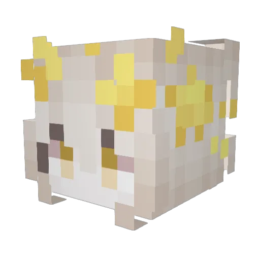 fwcng Minecraft avatar head, 3D render