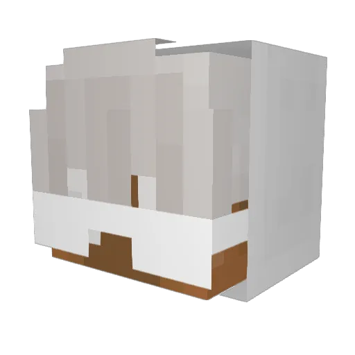 fwe_ Minecraft avatar head, 3D render