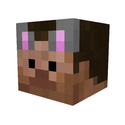 fwehh_ Minecraft avatar head, 3D render
