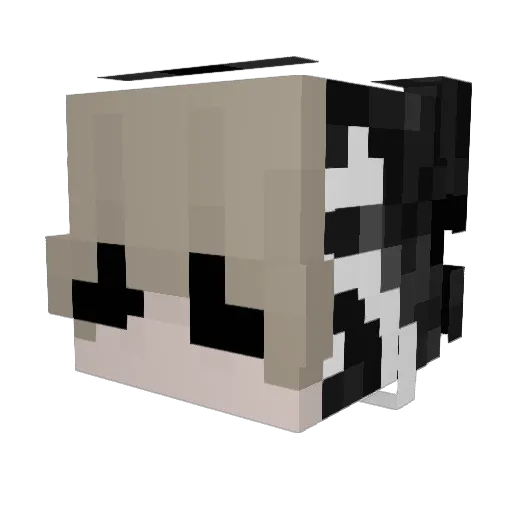 fwgiela Minecraft avatar head, 3D render
