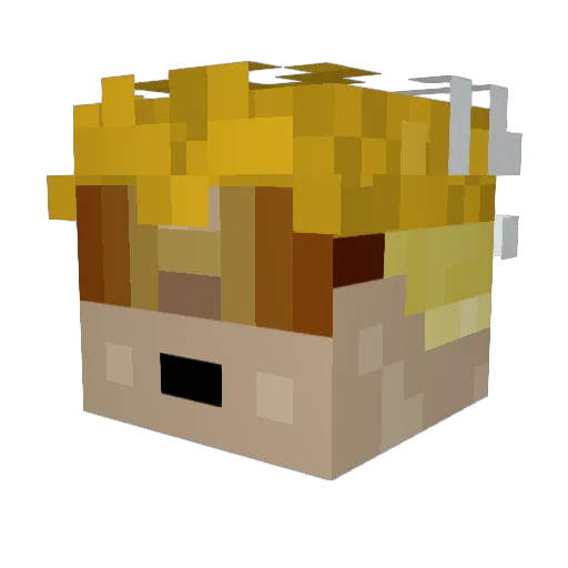 fwguns Minecraft avatar head, 3D render